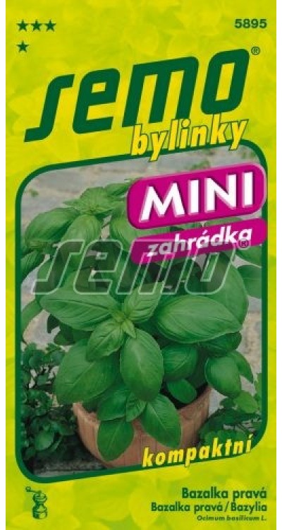 Bazalka pravá Mammolo Genovese